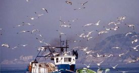 Premi de fotografia "Aigua, natura i Costa Brava"