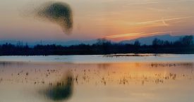 Premi de fotografia "Aigua, natura i Costa Brava"