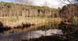 Riera de Tossa