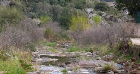 Riera de Portbou
