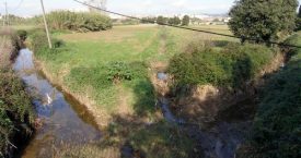 Riera d'Aubi