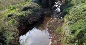 Riera d'Aubi