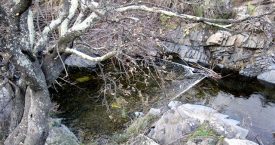 Riera de Molinàs (Colera)