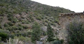 Riera de Molinàs (Colera)