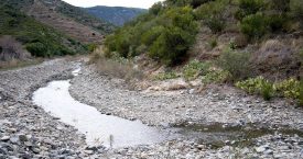 Riera de Molinàs (Colera)