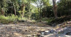Riera de Calonge
